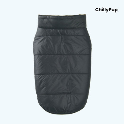 Black dog coat with 'ChillyPup' branding on a white background