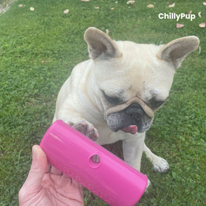 Dog (Mila) sitting on grass giving her paw with a pink Brush held by a hand, ChillyPup branding visible