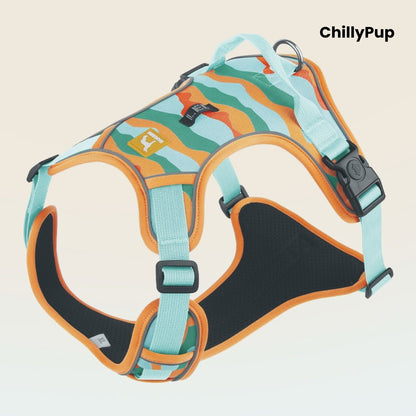 Dog harness with 'ChillyPup' branding on a light grey background