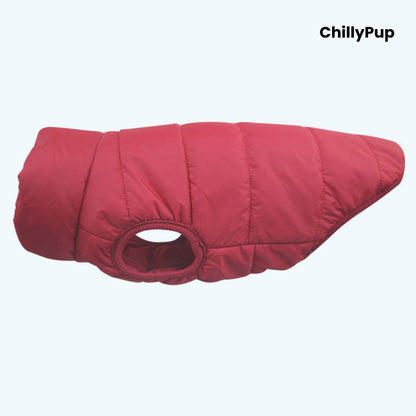 Ultra-Warm Padded Dog Coat with ChillyPup branding on a white background